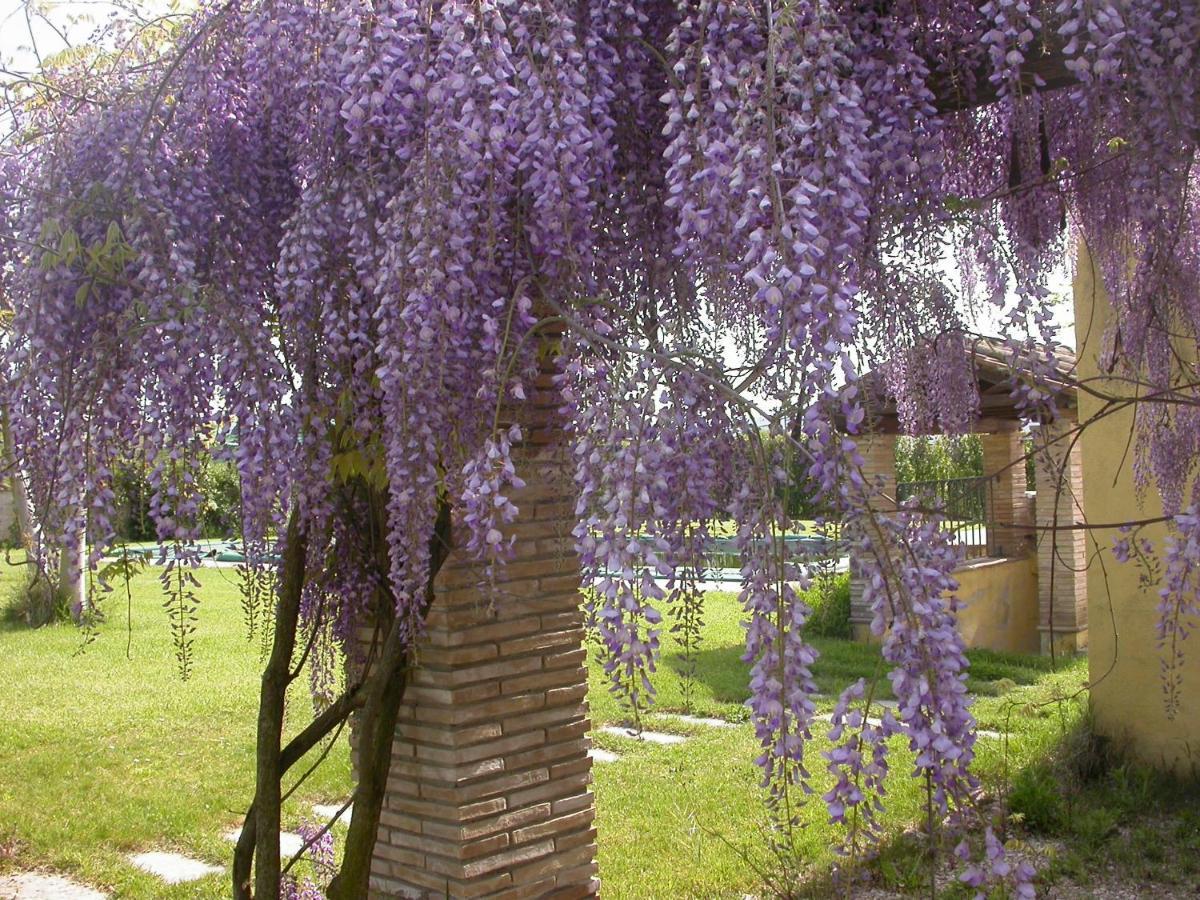 אטיליאנו Casavacanze Sant'Eugenia מראה חיצוני תמונה