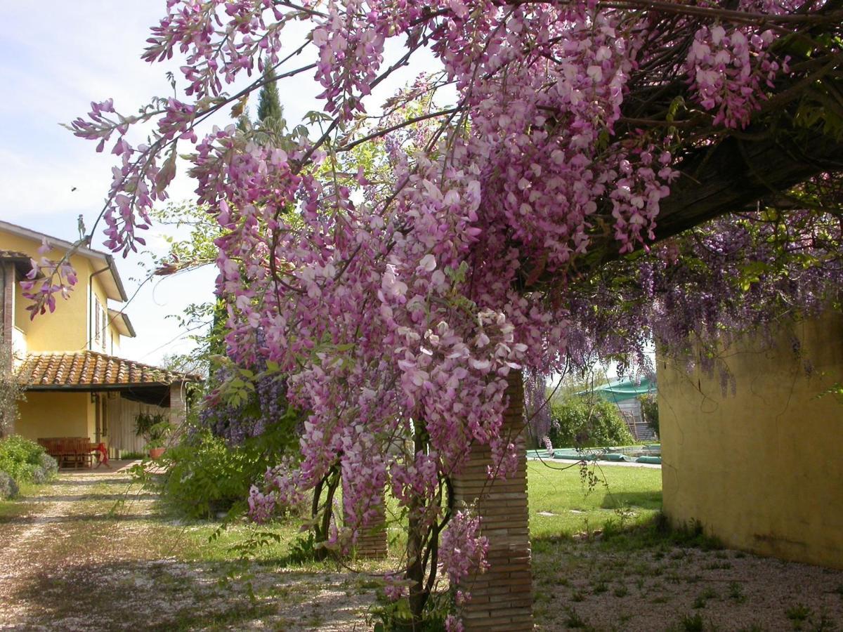 אטיליאנו Casavacanze Sant'Eugenia מראה חיצוני תמונה
